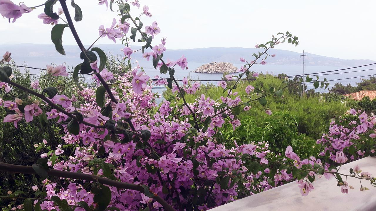 Vlichos Studio Apartment İdra Dış mekan fotoğraf